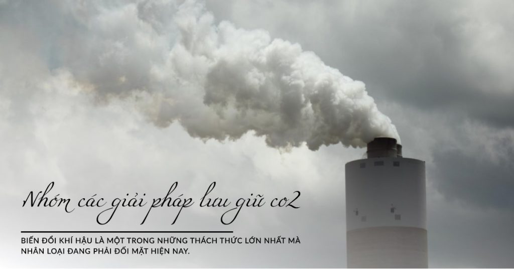 nhom-cac-giai-phap-luu-giu-co2